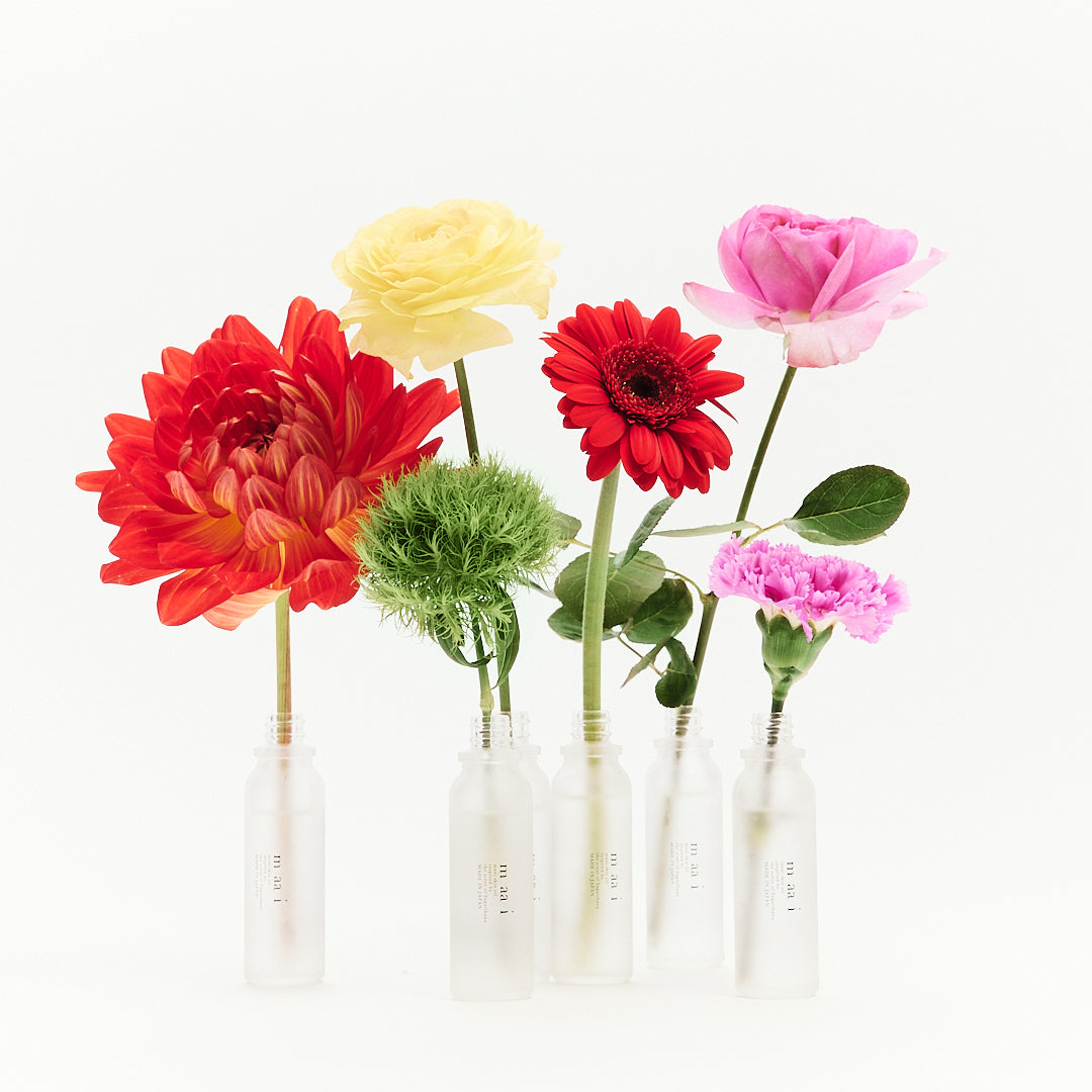 m aa iまあるくツナガル便【定期便】